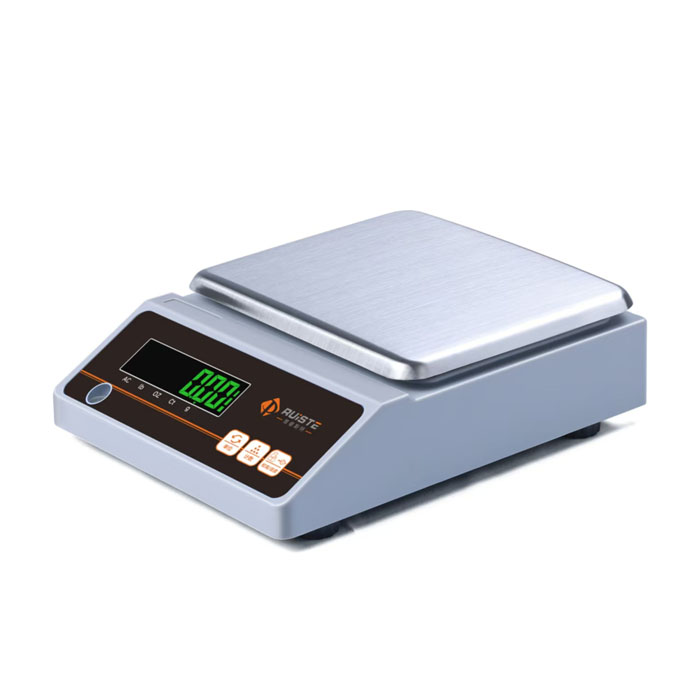 Electronic Precision Balance