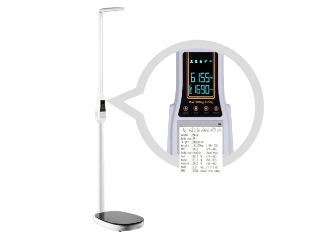 Household Scales