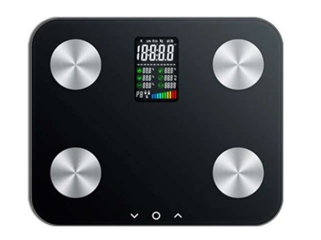 Body Fat Scales