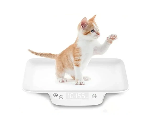 Pet Scales