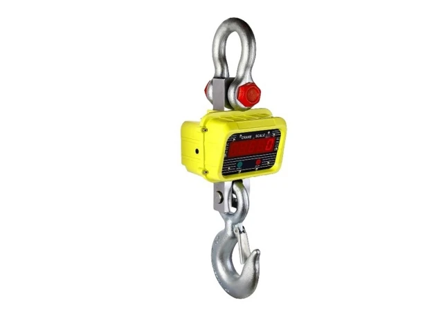 Crane Scales